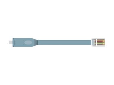 Delock - Seriell adapter - USB-C - RS-232 x 1 - grå