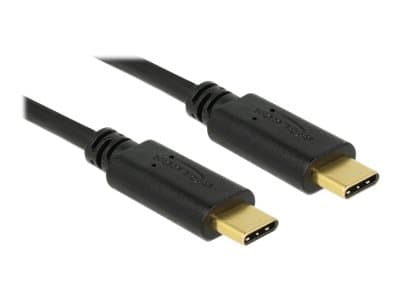 Delock - USB-kabel - 24 stift USB-C (han) till 24 stift USB-C (han) - USB 2.0 - 5 A - 50 cm - sort