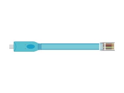 Delock - Seriell kabel - 24 pin USB-C (hann) til RJ-45 (hann) - 3 m - EIA-232 - blå