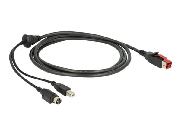 Delock - Strømforsynt USB-kabel - USB PlusPower (24 V) (hann) til USB-type B, Power mini-DIN (hann) - 24 V - 2 m - svart