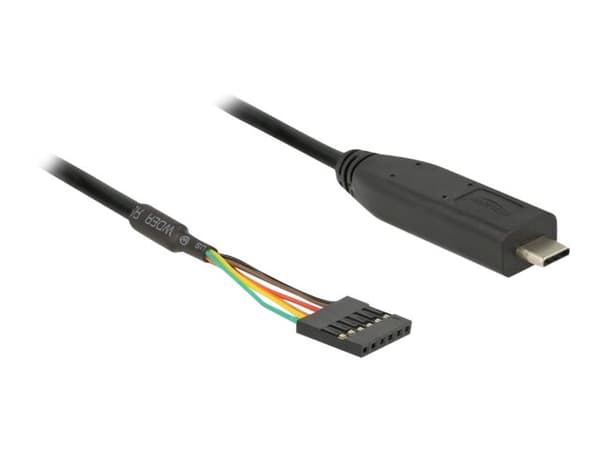 Delock - USB / seriell kabel - 24 pin USB-C (hane) till 6 stift TTL (hona) - 5 V - 2 m - svart