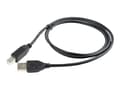 Miniatyrbild 5 av 5: Cablexpert - USB-kabel - USB (hane) till USB typ B (hane) - USB 2.0 - 1 m - formpressad - svart