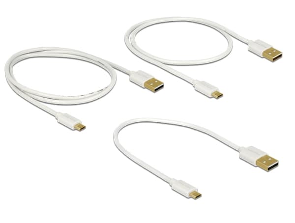 Delock - USB-kabelsett - hvit