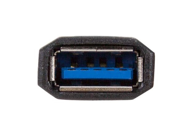 OWC - USB-adapter - 24 pin USB-C (hane) till USB typ A (hona) - USB 3.1 Gen 1 - 14 cm