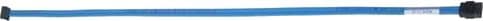 Dell - SATA-kabel - 6 cm - för Inspiron 3252, 36XX; OptiPlex 30XX, 70XX, 90XX; Precision T1600, T1650, T1700; Vostro 3905