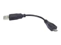 Miniatyrbild 1 av 4: Qoltec - USB-adapter - mikro-USB typ B (hane) till USB (hane) - 10 cm
