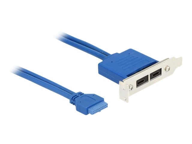 Delock Slot bracket - USB-panel - 19-stifts USB 3.0-kontakt (hona) till USB-C (hona) - 30 cm - blå