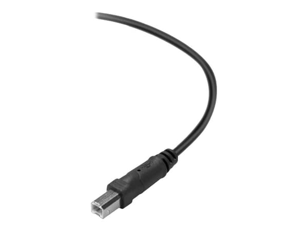 Belkin Premium Printer Cable - USB-kaapeli - USB Type B (han) til USB (han) - USB 2.0 - 3 m - formet