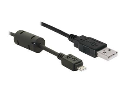 DeLOCK - USB-kaapeli - USB (han) til Micro-USB Type B (han) - 2 m