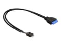 Miniatyrbilde 1 av 5: Delock - USB-internkabel - 19-pins USB 3.0-plugg (hunn) til 9-pins USB-header (hann) - 45 cm - svart