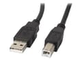 Miniatyrbild 1 av 5: Lanberg - USB-kabel - USB (hane) till USB typ B (hane) - USB 2.0 - 5 m - svart