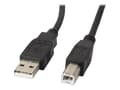 Miniatyrbild 1 av 5: Lanberg - USB-kabel - USB (hane) till USB typ B (hane) - USB 2.0 - 1 m - svart