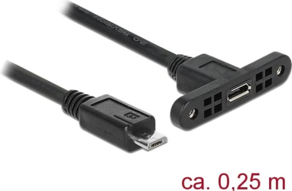 Delock - USB-förlängningskabel - mikro-USB typ B (hane) till mikro-USB typ B (hona) kan monteras på panel - USB 2.0 - 25 cm - svart