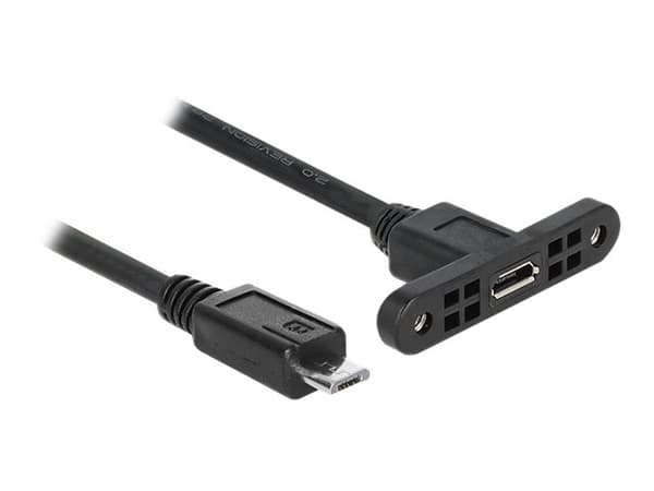 Delock - USB-förlängningskabel - mikro-USB typ B (hane) till mikro-USB typ B (hona) kan monteras på panel - USB 2.0 - 25 cm - svart