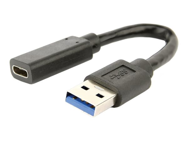 Cablexpert - USB-adapter - USB typ A (hane) till 24 pin USB-C (hona) - USB 3.1 - 10 cm - svart