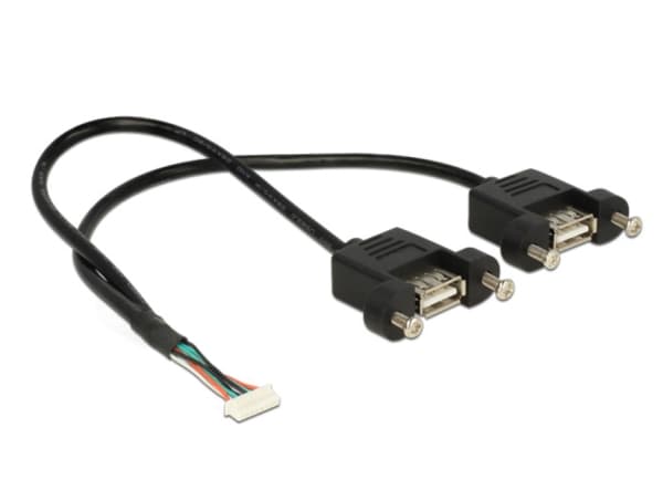 Delock - Intern-til-ekstern USB-kabel - 8-pins USB 2.0-header (hunn) til USB (hunn) - 25 cm - svart