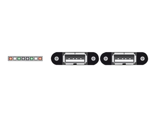 Delock - Intern-til-ekstern USB-kabel - 8-pins USB 2.0-header (hunn) til USB (hunn) - 25 cm - svart