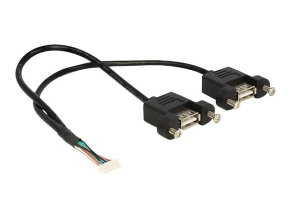 Delock - Intern-til-ekstern USB-kabel - 8-pins USB 2.0-header (hunn) til USB (hunn) - 25 cm - svart
