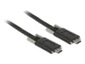 Miniatyrbilde 3 av 3: Delock - USB-kabel - 24 pin USB-C (hann) til 24 pin USB-C (hann) - USB 3.1 Gen 2 - 3 A - 1 m - tommelskruer - svart