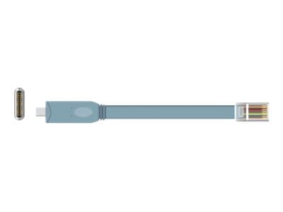 Delock - Seriell adapter - 24 pin USB-C (hane) till RJ-45 (hane) - 50 cm - EIA-232 - grå