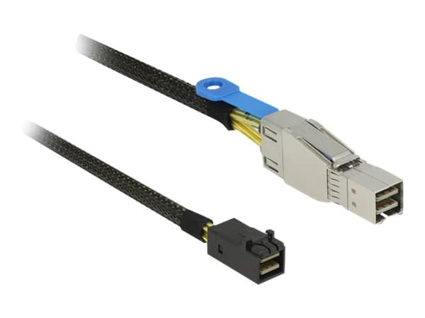 Delock - SAS-kabel intern till extern - SAS 12Gbit/s - Mini SAS HD (SFF-8644) (hane) till Mini SAS HD (SFF-8643) (hane) - 1 m