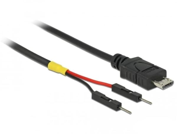 Delock - USB/strøm-kabel - Micro-USB type B (hann) til 2-pins USB-header (hann) separat - 10 cm - svart