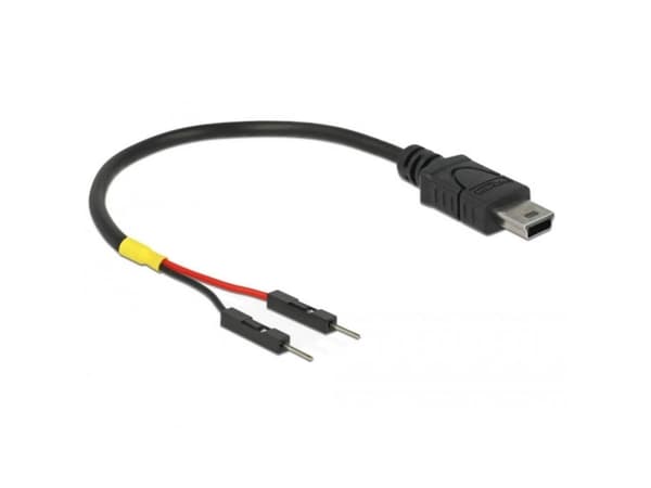 Delock - USB/strøm-kabel - mini-USB Type B (hann) til 2-pins USB-header (hann) separat - 10 cm - svart
