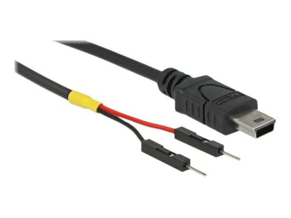 Delock - USB/strøm-kabel - mini-USB Type B (hann) til 2-pins USB-header (hann) separat - 10 cm - svart