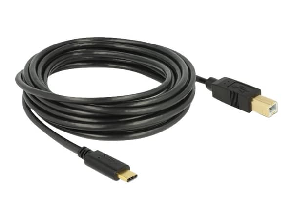DeLOCK - USB-kaapeli - USB-C (han) til USB Type B (han) - USB 2.0 - 3 A - 4 m - lajiteltu