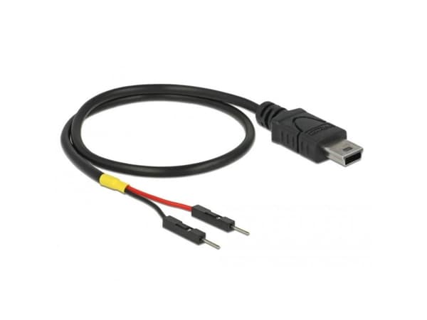 Delock - USB/strøm-kabel - mini-USB Type B (hann) til 2-pins USB-header (hann) separat - 30 cm - svart