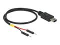 Miniatyrbilde 1 av 3: Delock - USB/strøm-kabel - mini-USB Type B (hann) til 2-pins USB-header (hann) separat - 30 cm - svart