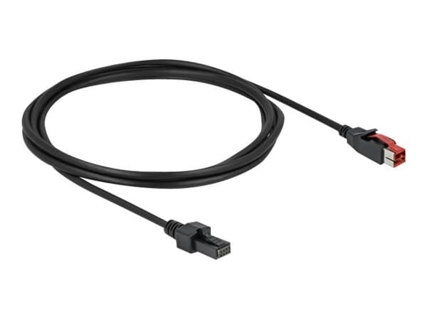Delock - Strømforsynt USB-kabel - USB PlusPower (24 V) (hann) til 4-pins mini-DIN (hann) - 24 V - 2 m - svart