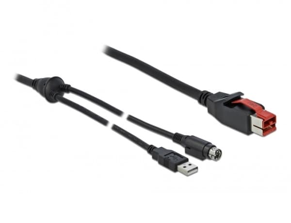 Delock - Strømforsynt USB-kabel - USB PlusPower (24 V) (hann) til USB, Power mini-DIN (hann) - 24 V - 4 m - svart