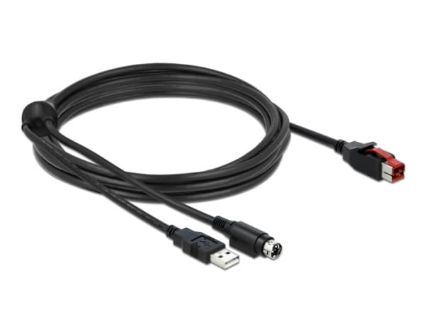 Delock - Strømforsynt USB-kabel - USB PlusPower (24 V) (hann) til USB, Power mini-DIN (hann) - 24 V - 4 m - svart