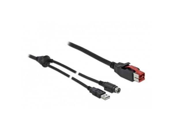 Delock - Strømforsynt USB-kabel - USB PlusPower (24 V) (hann) til USB, Power mini-DIN (hann) - 24 V - 4 m - svart