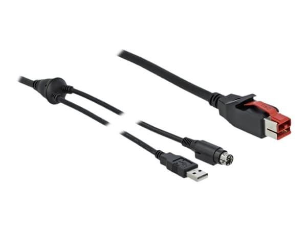 Delock - Strømforsynt USB-kabel - USB PlusPower (24 V) (hann) til USB, Power mini-DIN (hann) - 24 V - 4 m - svart