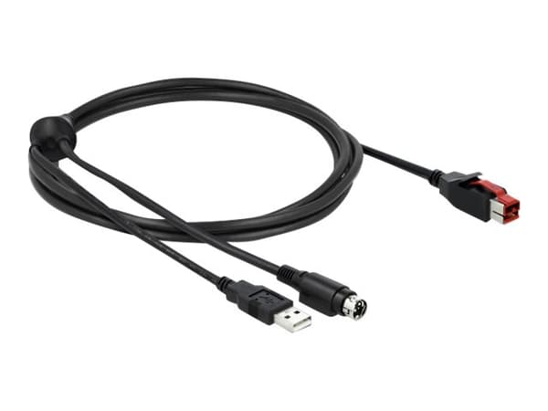 Delock - Strømforsynt USB-kabel - USB PlusPower (24 V) (hann) til USB, Power mini-DIN (hann) - 24 V - 4 m - svart