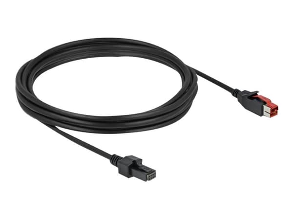 Delock - USB-kabel med egen strömförsörjning - USB PlusPower (24 V) (hane) till 4-stifts mini-DIN (hane) - 24 V - 4 m - svart