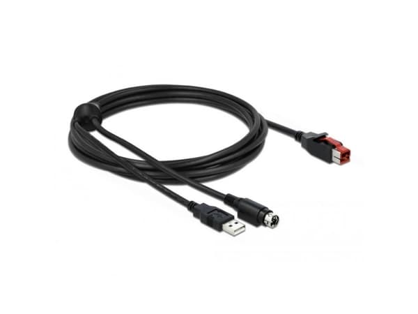 Delock - Strømforsynt USB-kabel - USB PlusPower (24 V) (hann) til USB, Power mini-DIN (hann) - 24 V - 3 m - svart