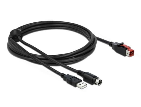 Delock - Strømforsynt USB-kabel - USB PlusPower (24 V) (hann) til USB, Power mini-DIN (hann) - 24 V - 3 m - svart