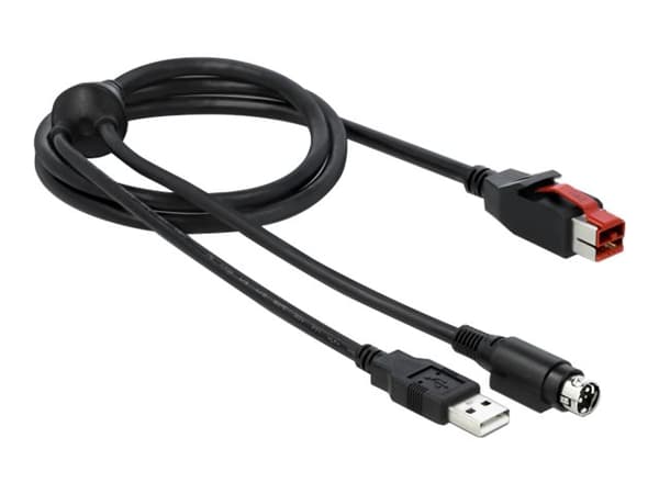 Delock - Strømforsynt USB-kabel - USB PlusPower (24 V) (hann) til USB, Power mini-DIN (hann) - 24 V - 3 m - svart