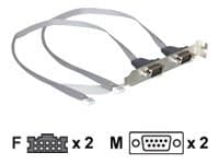 Delock - Serielt panel - DB-9 (hann) til 10 pin IDC (hunn)