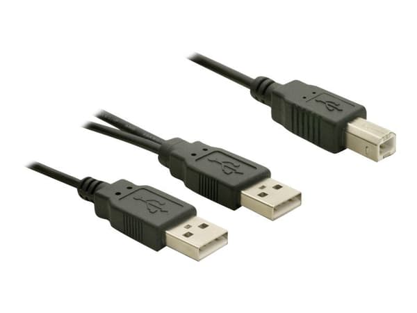 Delock - USB-kabel - USB typ B (hane) till USB (hane) - USB 2.0 - 1 m
