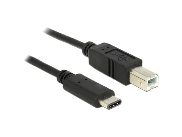 Delock - USB-kabel - 24 pin USB-C (hann) til USB-type B (hann) - USB 2.0 - 3 A - 50 cm - svart
