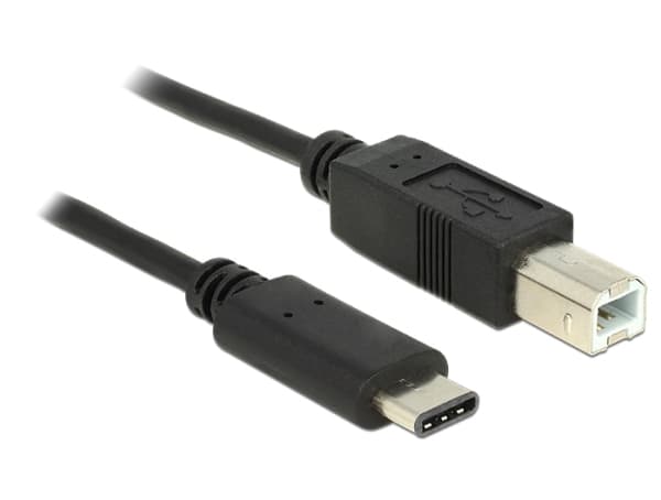 Delock - USB-kabel - 24 pin USB-C (hann) til USB-type B (hann) - USB 2.0 - 3 A - 50 cm - svart