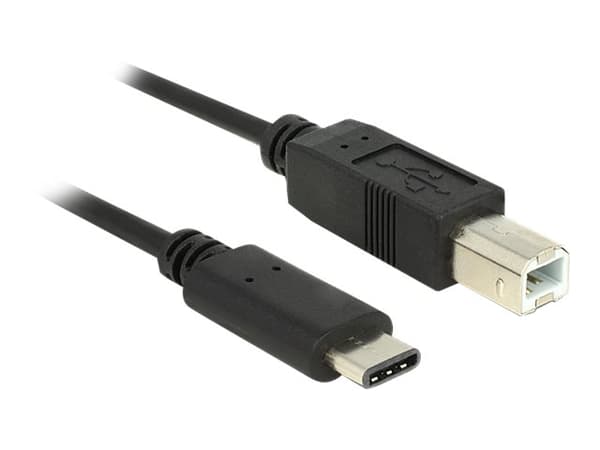 Delock - USB-kabel - 24 pin USB-C (hann) til USB-type B (hann) - USB 2.0 - 3 A - 50 cm - svart