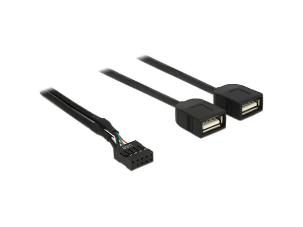 Delock - USB intern till extern adapter - 10-stifts USB-överdel (hona) till USB (hona) - 40 cm - svart
