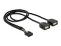 Miniatyrbild 1 av 4: Delock - USB intern till extern adapter - 10-stifts USB-överdel (hona) till USB (hona) - 40 cm - svart