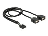 Delock - USB intern till extern adapter - 10-stifts USB-överdel (hona) till USB (hona) - 40 cm - svart