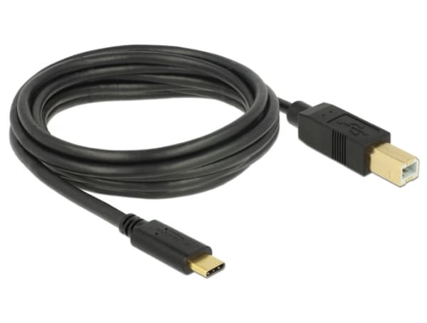 Delock - USB-kabel - 24 pin USB-C (hane) till USB typ B (hane) - USB 2.0 - 3 A - 3 m - svart